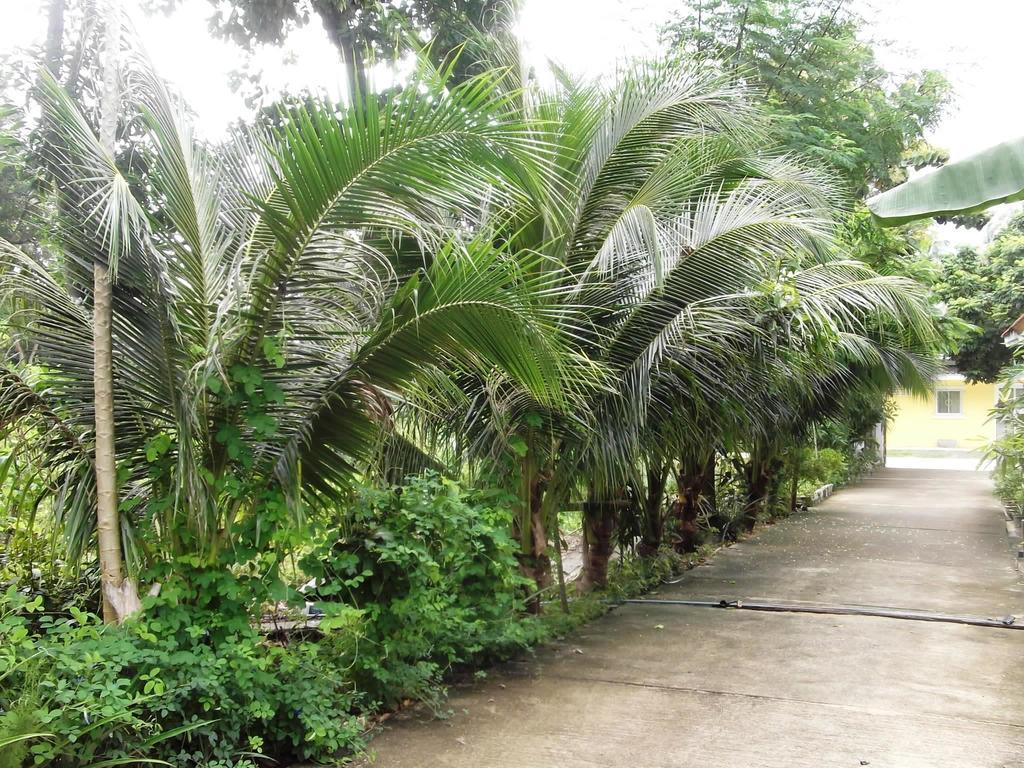 Wilai Villa Lamai Maret Pokoj fotografie